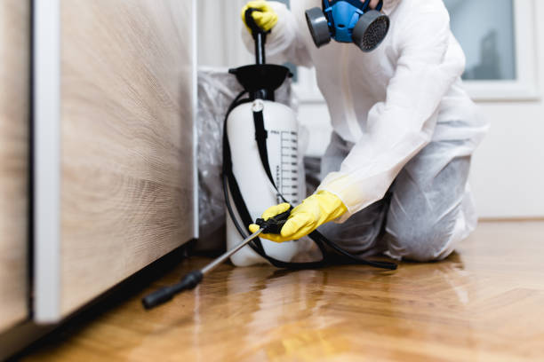 Best Emergency Pest Control  in Vaville, CA