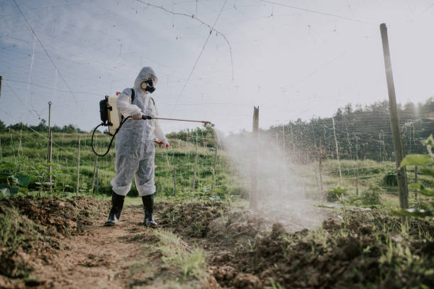 Best Affordable Pest Control Services  in Vaville, CA