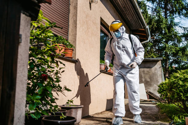 Best Pest Control Near Me in Vacaville, CA