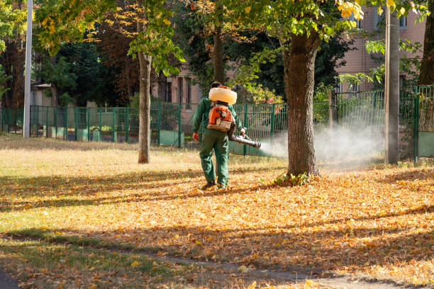 Best Pest Inspection Near Me  in Vaville, CA