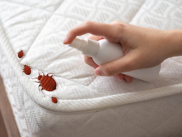 Best Cockroach Control Services  in Vaville, CA
