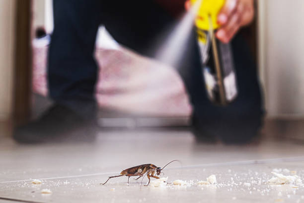 Best Best Pest Control Companies  in Vaville, CA