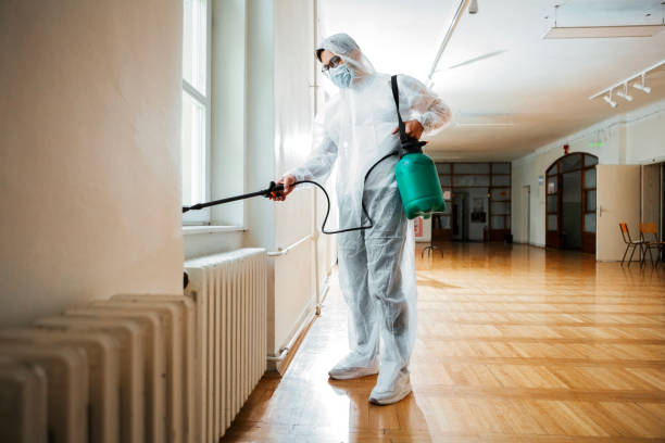 Professional Pest Control in Vacaville, CA