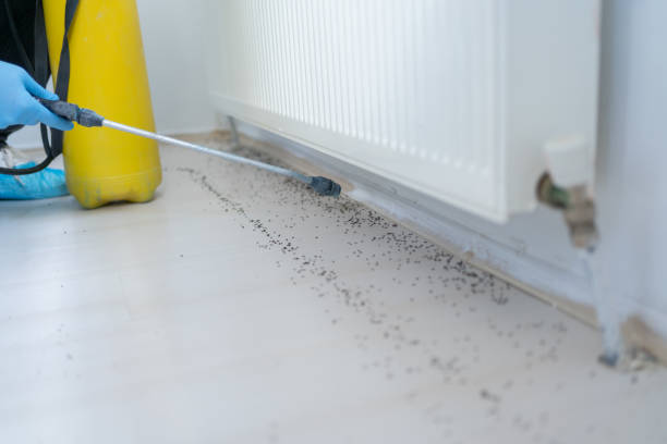 Best Pest Control Near Me  in Vaville, CA