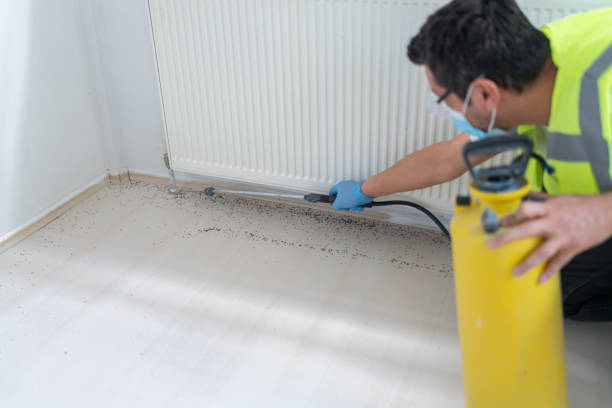 Best Pest Removal Services  in Vaville, CA