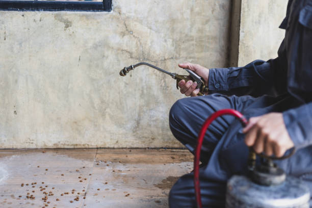 Best Affordable Pest Control Services  in Vaville, CA