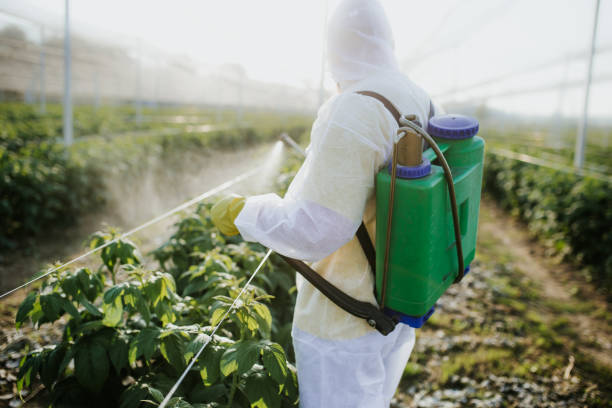 Best Pest Inspection Near Me  in Vaville, CA